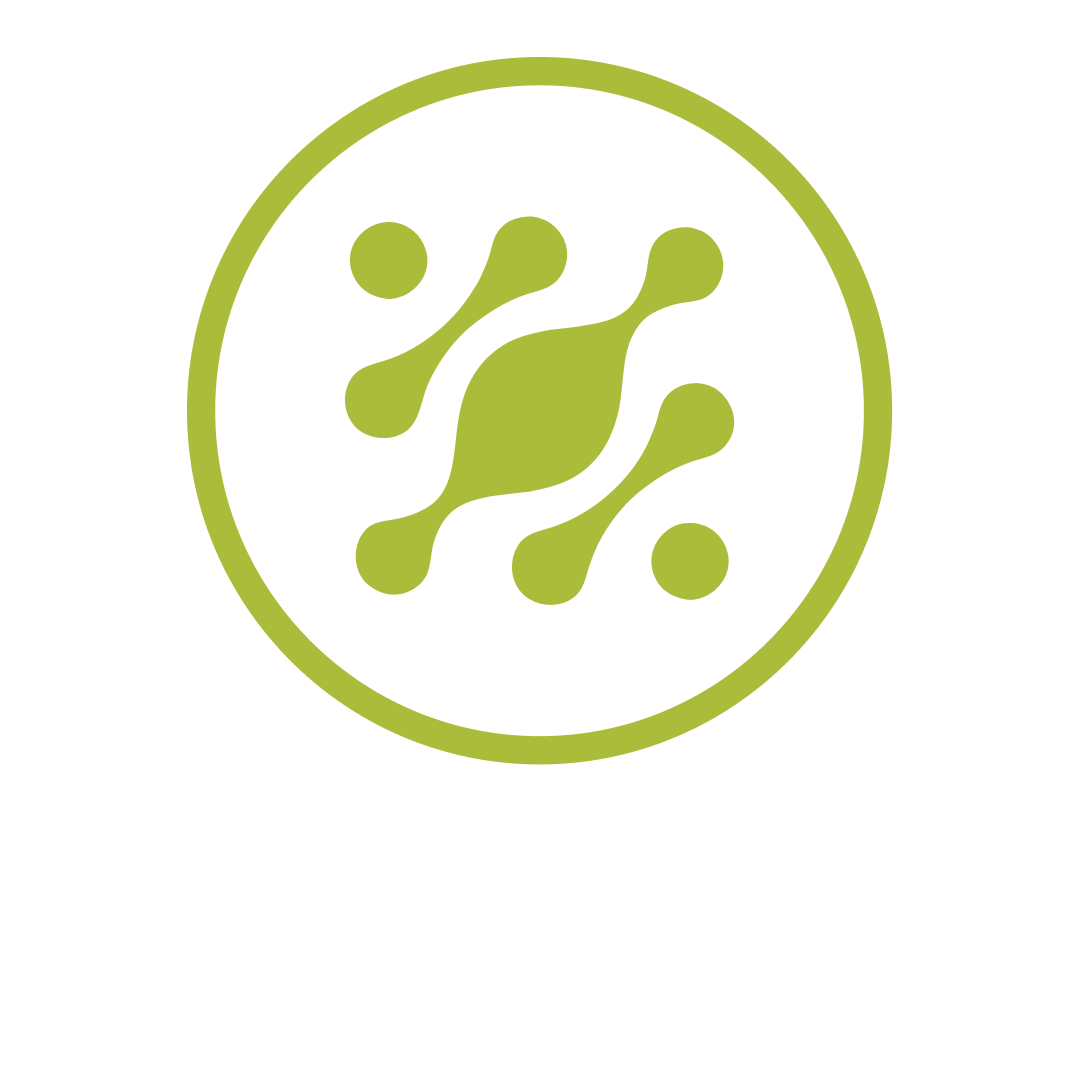 The Dilate Way | LMS